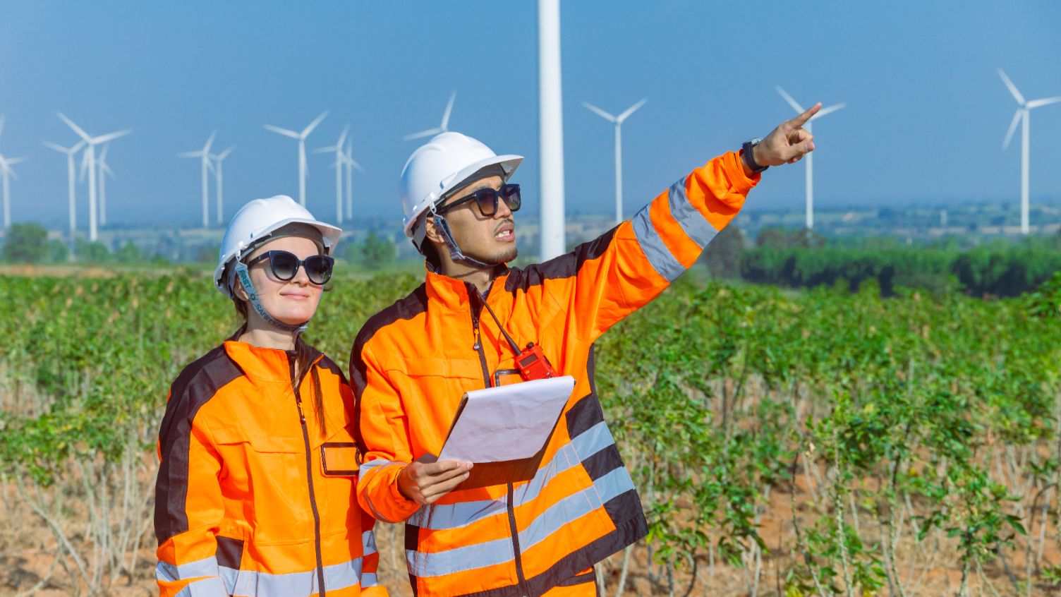 Green Jobs: quando lavoro e sostenibilità viaggiano insieme